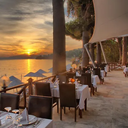 Resort Omer