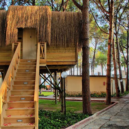 Omer Resort