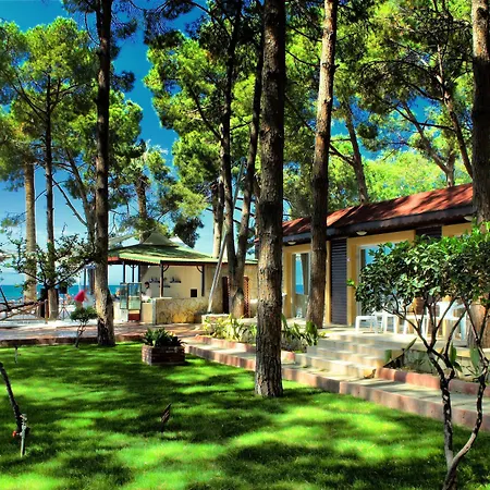 Üdülőközpont Omer Kusadası