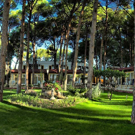 Resort Omer 4*